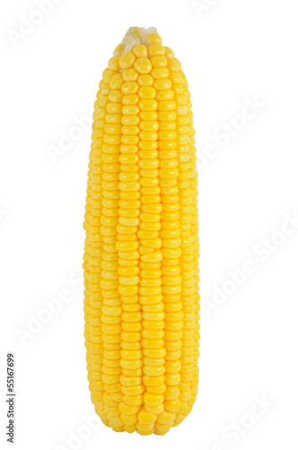 single corn