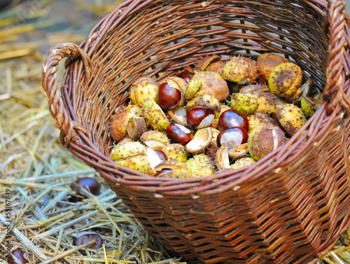 Chestnuts are in a basket