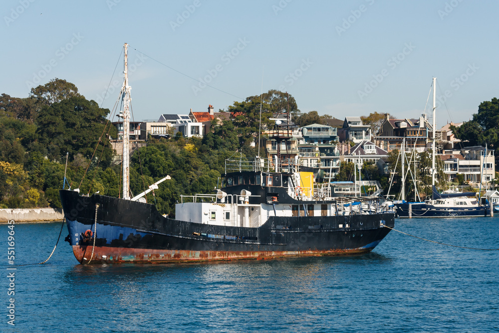 shipwreck in Sydney Harbour