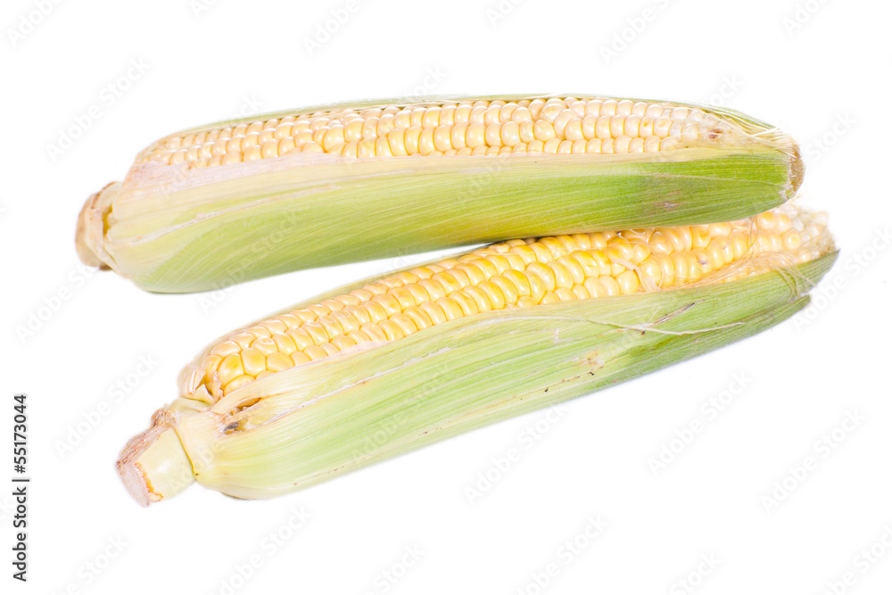 An ear of corn isolated on a white. An ear of corn isolated on a white.