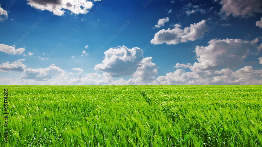 green field and cloudy sky green field and cloudy sky