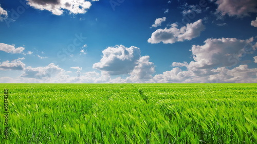 green field and cloudy sky