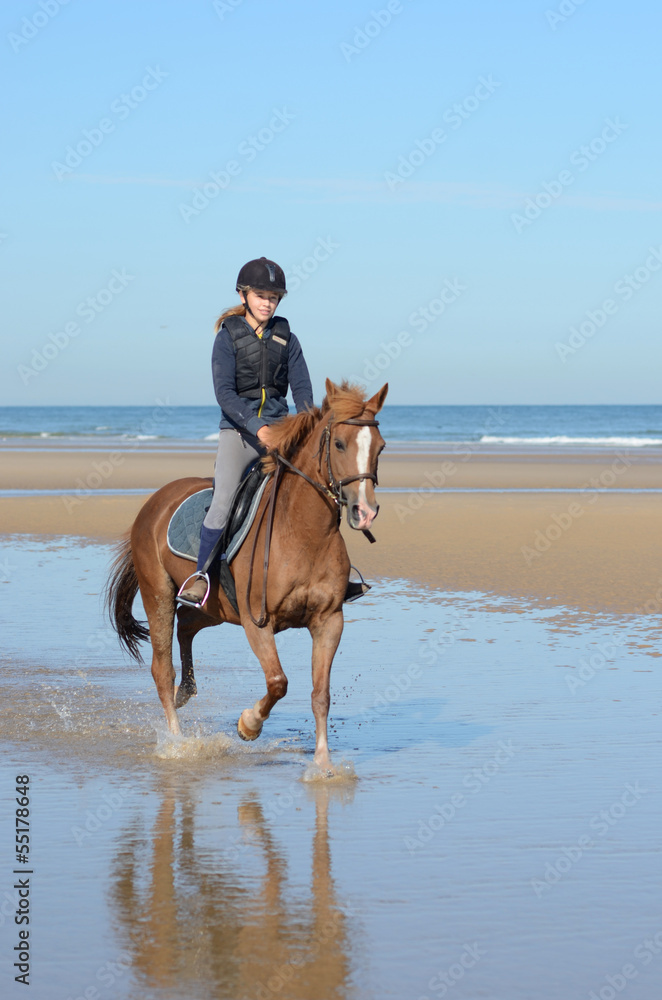 équitation plaisir équitation plaisir