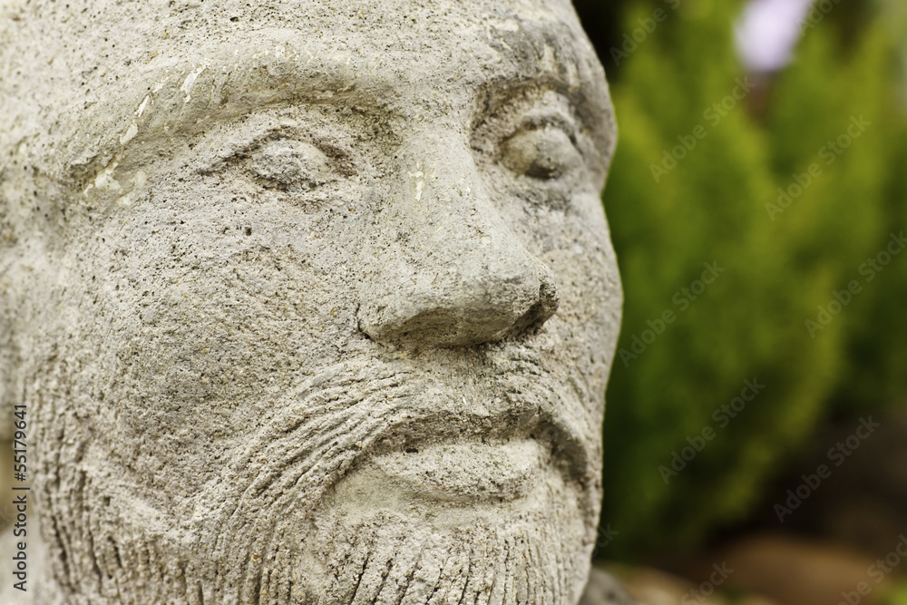 Obraz premium face statue
