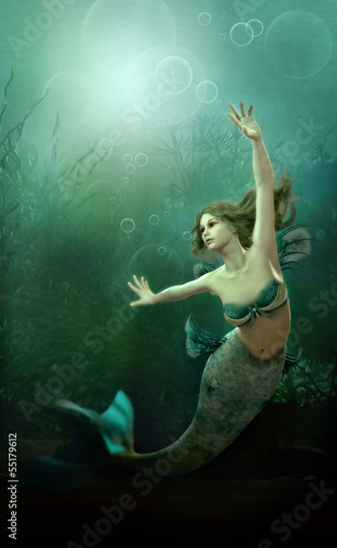 Canvastavla The little Mermaid