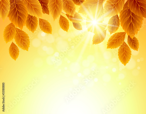 Fall leafs abstract background