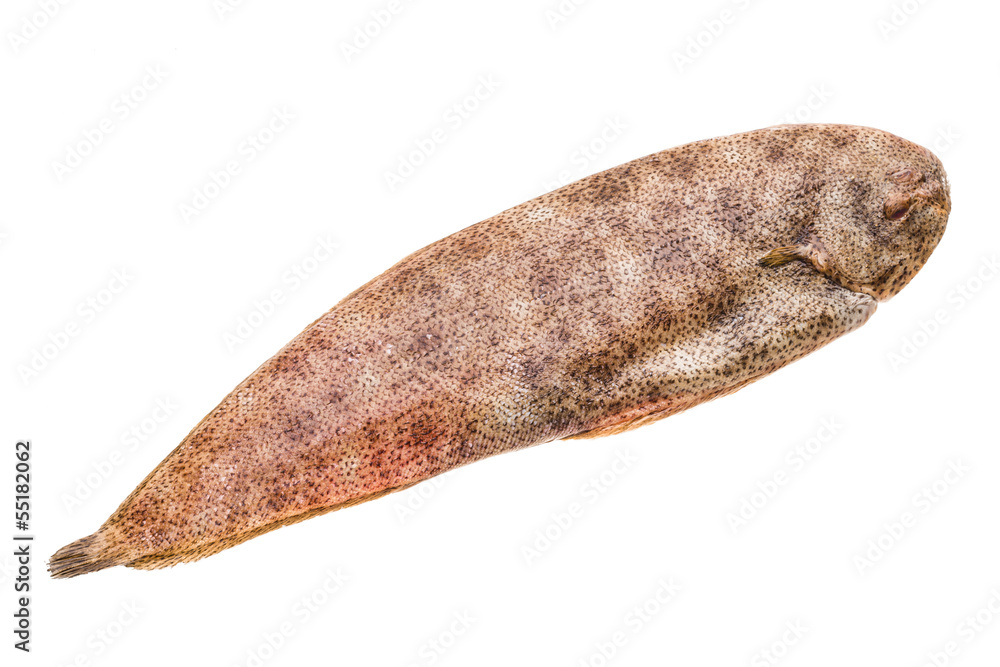 Fish Dover sole Fish Dover sole
