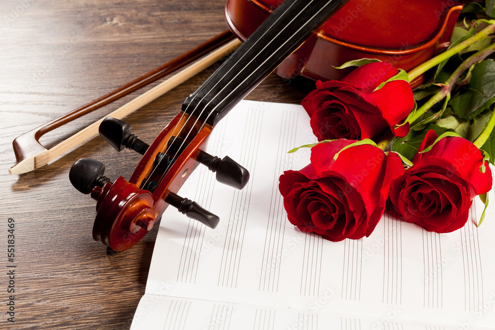 Fototapeta premium Red roses and a violin