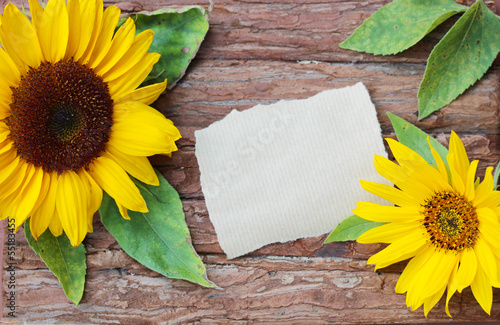 Fototapeta Naklejka Na Ścianę i Meble -  Sommergrüße