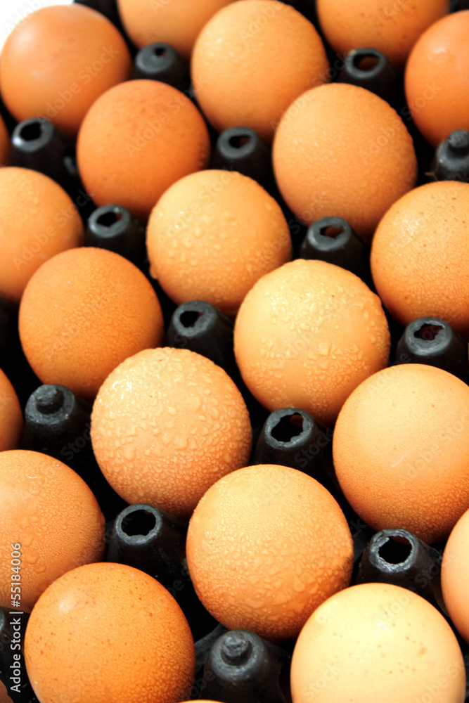 Brown eggs in an egg box Brown eggs in an egg box