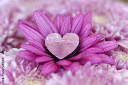 Herz in einer Blume