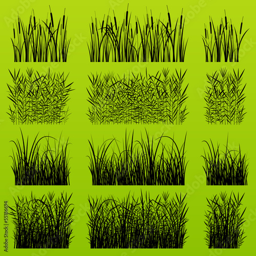Grass, reed and wild plants detailed silhouettes illustration ba