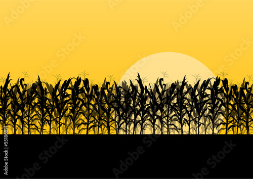 Corn field detailed countryside landscape illustration backgroun