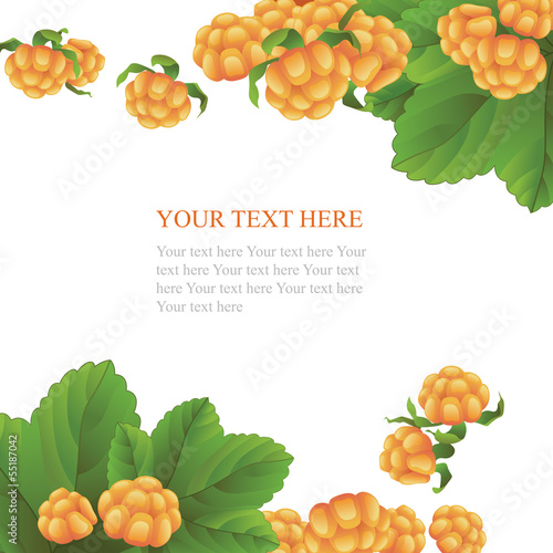 Fresh cloudberry on white background