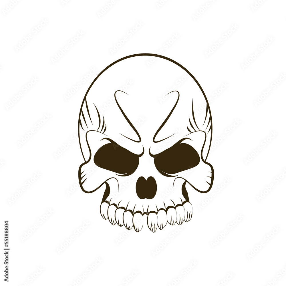 Obraz premium Skull