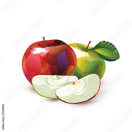 Green and red apple. Vector format