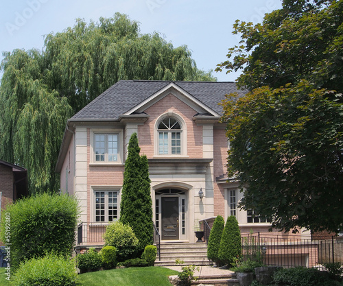 house front with willow tree