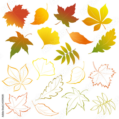 Falling leaves set