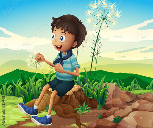 A stump with a young boy sitting