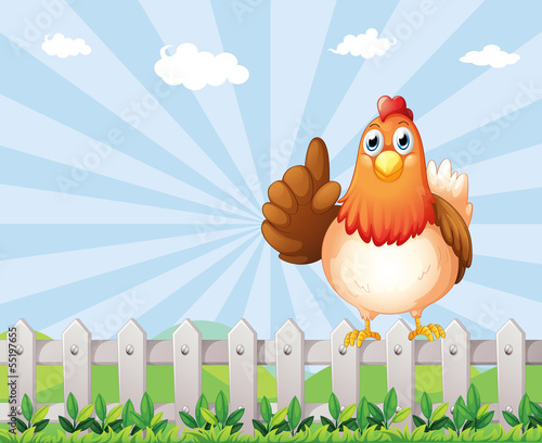 A big fat hen above the fence