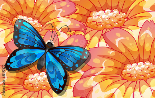 A big butterfly above the giant flowers © GraphicsRF