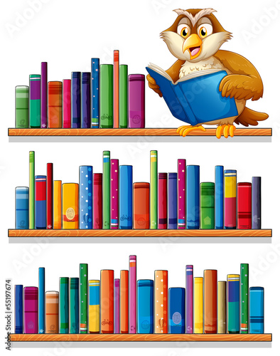 An owl above the wooden bookshelves with books