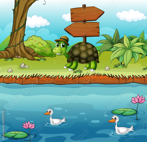 A turtle near the wooden arrowboards at the riverbank