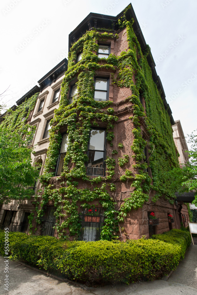 Nice building with plants  in Madison Avenue, New York, USA