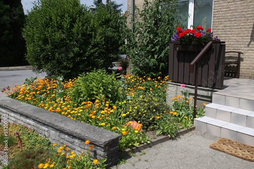 Vorgarten mit Ringelblumen