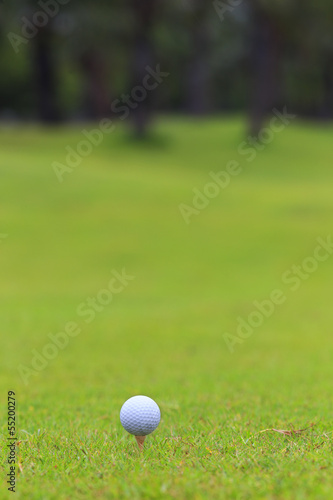 Golf ball on teeing area over a blurred green. Shallow depth of