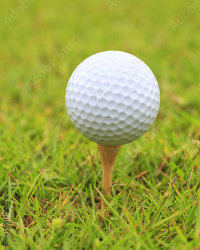 Macro shot of golf ball on wood tee on the golf course