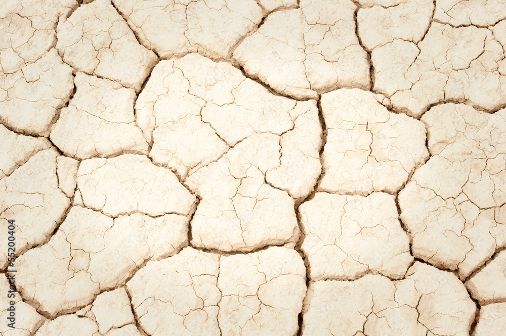 cracked ground texture cracked ground texture