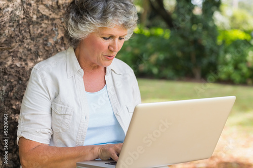 Grey haired woman with a laptop
