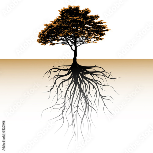 A tree with a visible root. Space for a text