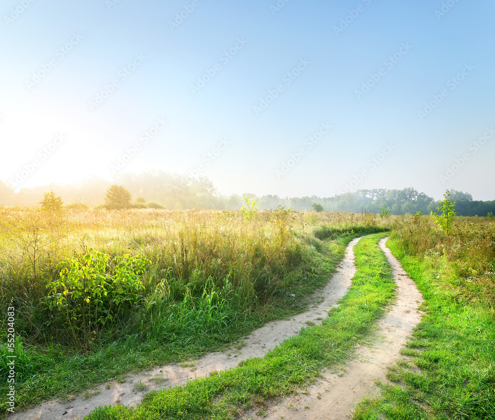 Road in the field