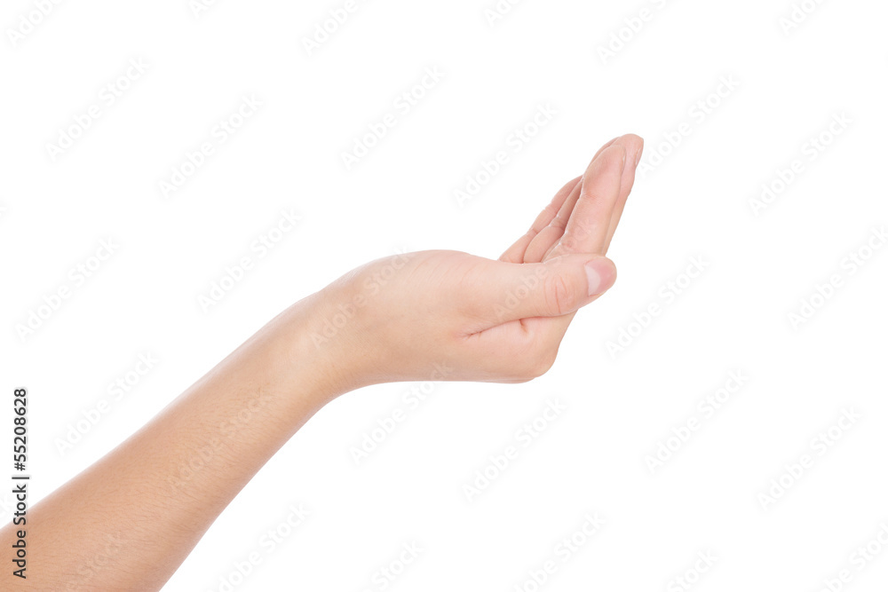 Human hand Human hand