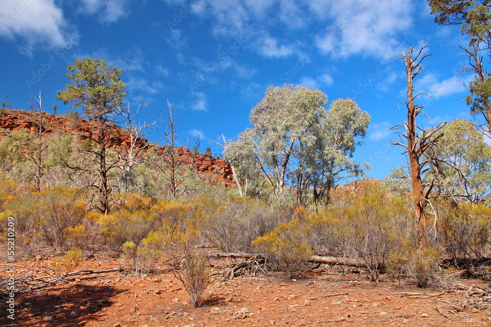 Australian outback and Flinders Ranges Australian outback and Flinders Ranges