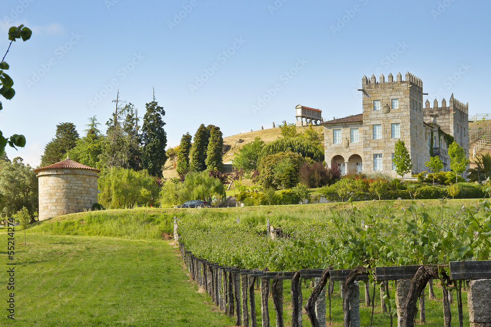Bayon Palace vineyards