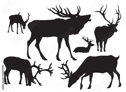 deer silhouettes vector