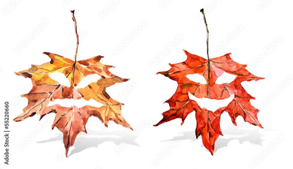 autumn heros autumn heros