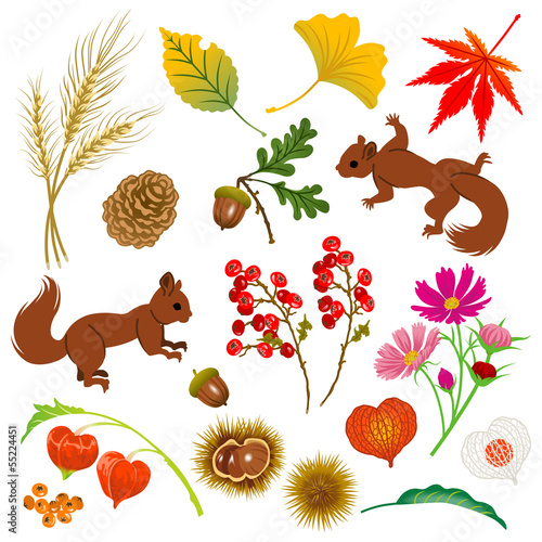 Autumn Material,Isolated