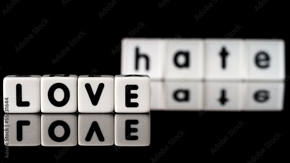 Love Hate Concept