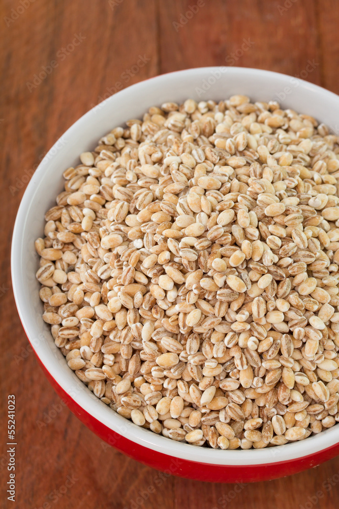 pearl barley in red bowl pearl barley in red bowl
