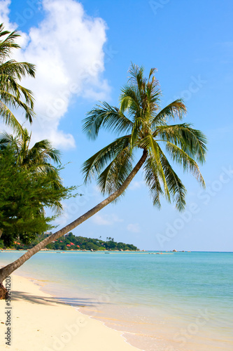 Beautiful beach and tropical sea  Thailand.