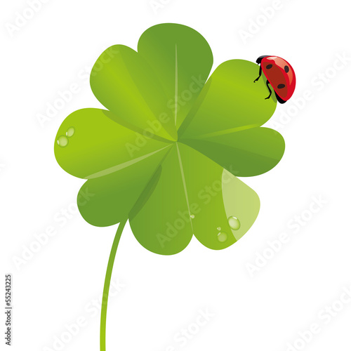Trefle four leafs