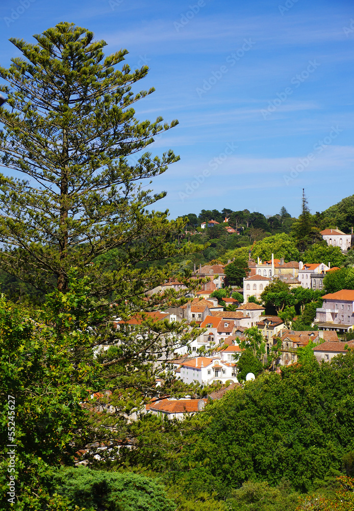 Obraz premium Sintra View