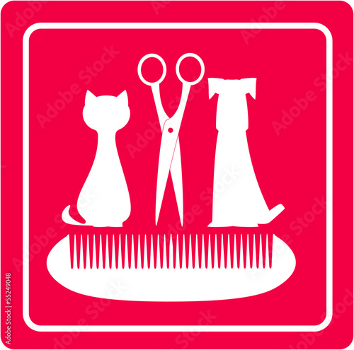 grooming barbershop for pet with dog, cat scissors and comb