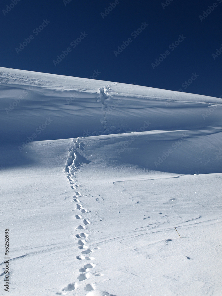 footprints in the snow footprints in the snow