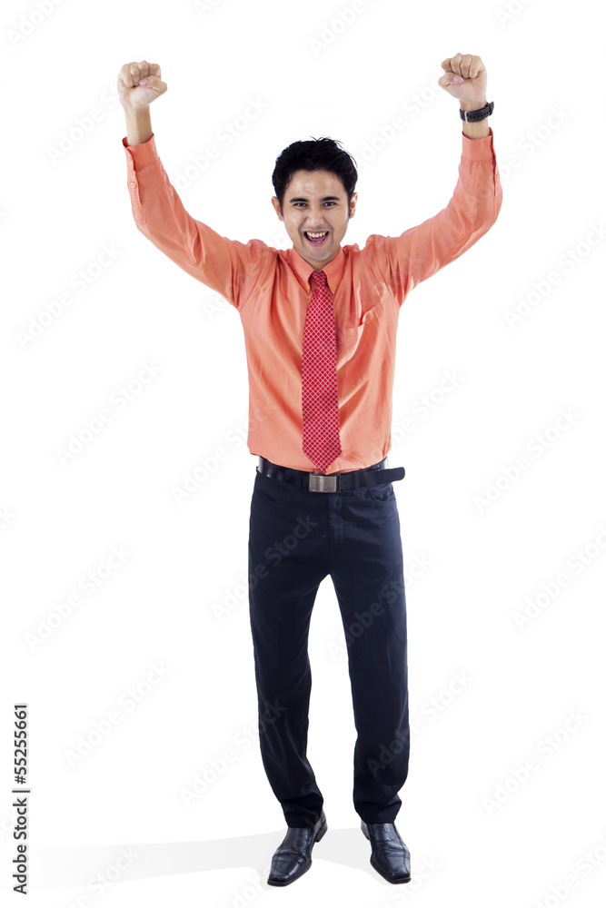 Businessman exulting isolated on white Businessman exulting isolated on white