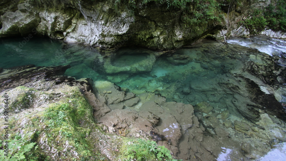 Naklejka premium gorges de Vintgar, Slovénie